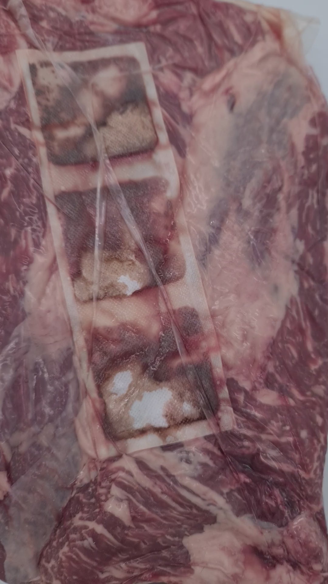 O'Connor Premium Angus Tri-tip (Boneless) $30/kg