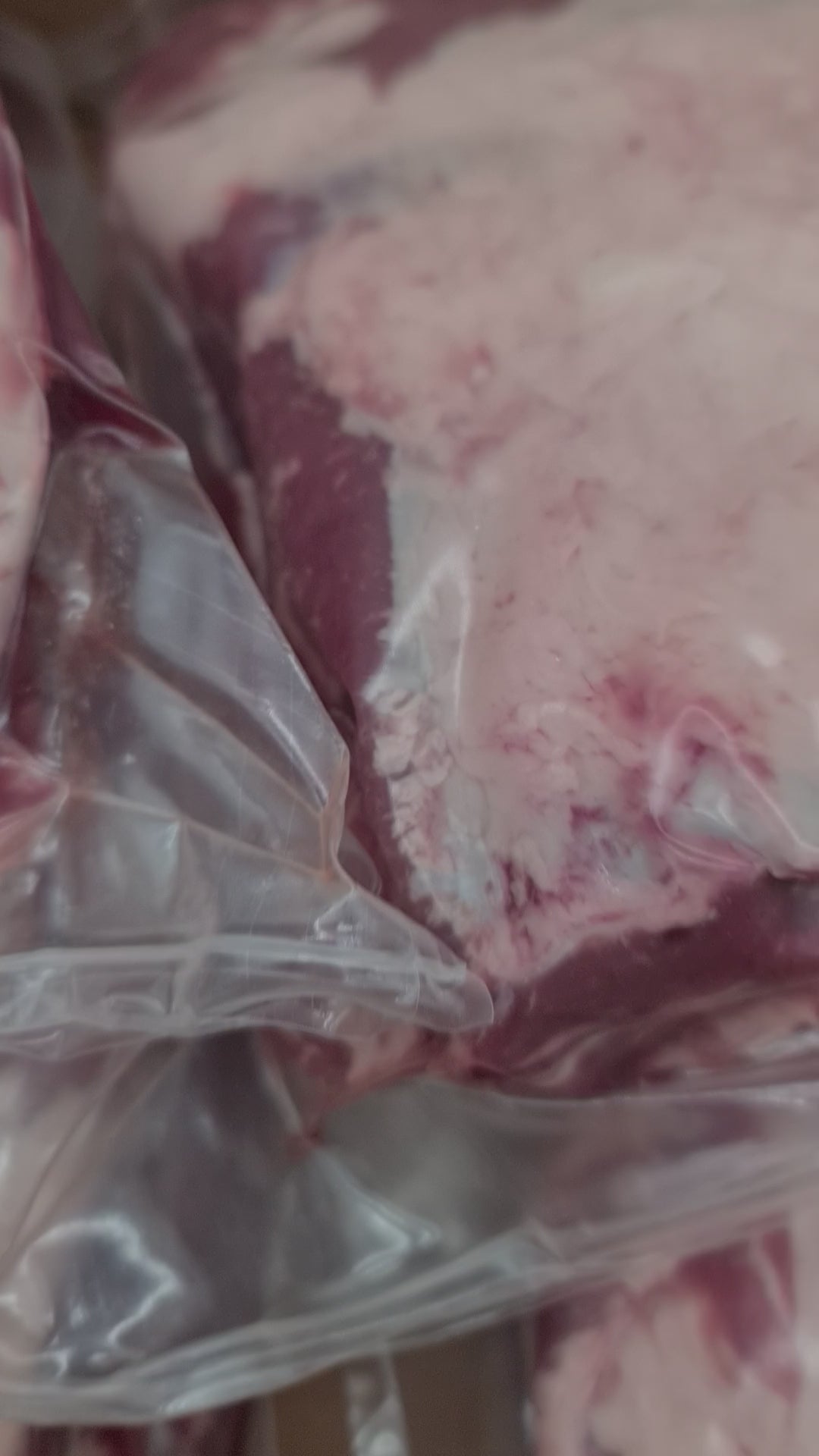 Omugi Short Ribs (Grain-fed) $28/kg