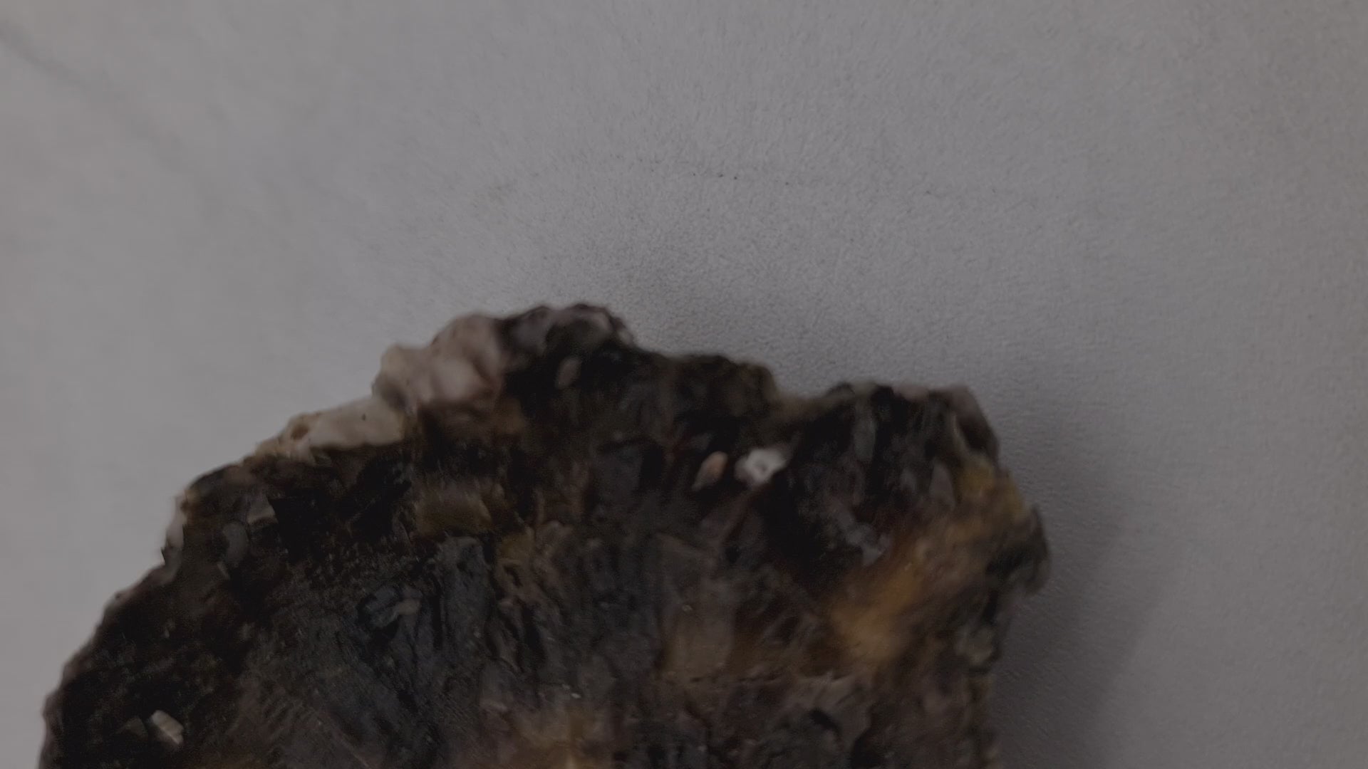 Southern Rock Oysters (12) (FROZEN) $29/kg *Caught Fresh to Order*