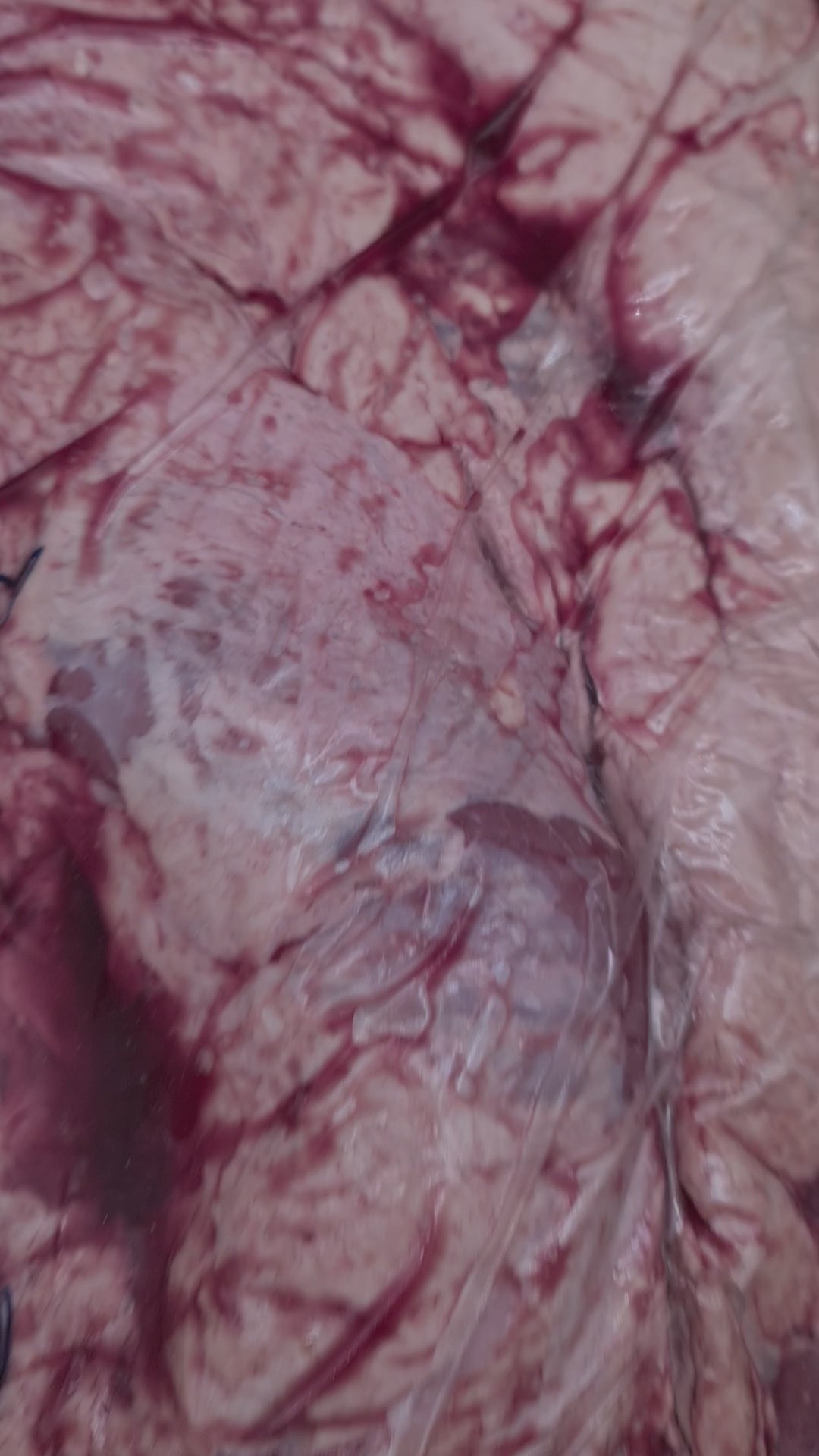 Brisket from *SPECIAL* $19/kg - Grass fed Beef - JBS